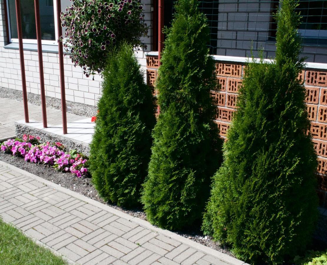 Nooruse Majutus Hotel Kuressaare Exterior photo