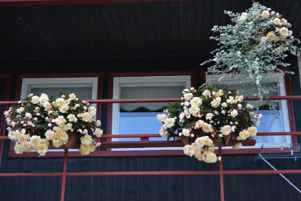 Nooruse Majutus Hotel Kuressaare Exterior photo